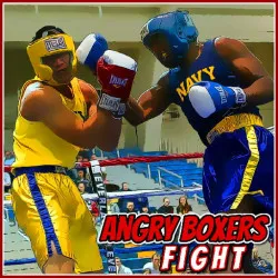 angry-boxers-fight