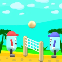beach-volleyball