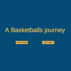 a-basketball-s-journey
