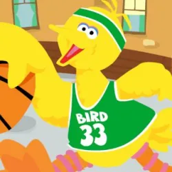 big-bird-s-basketball