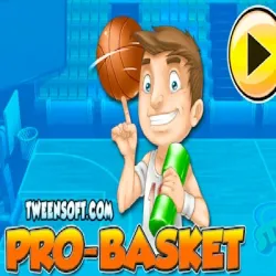 pro-basket