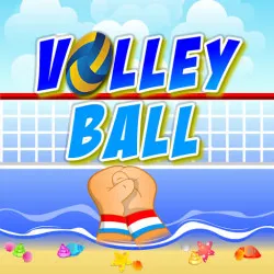 volley-ball